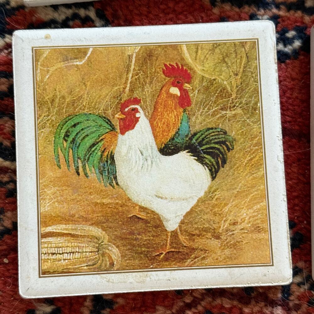 Chicken Coasters Cork-Backed Square Stoneware Set‎ of 4 CLEAN CONDITION